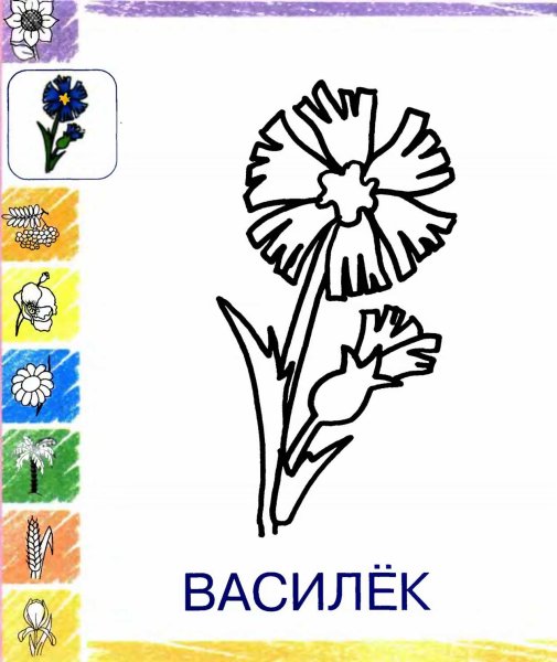 Восилекраскраска для детей