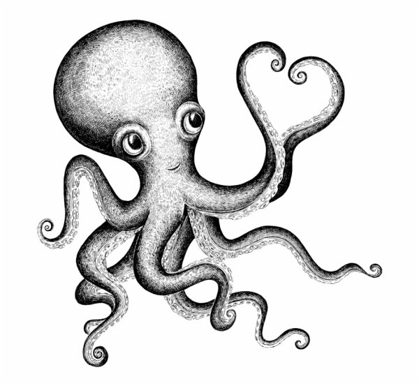 Осьминог рисунок карандашом