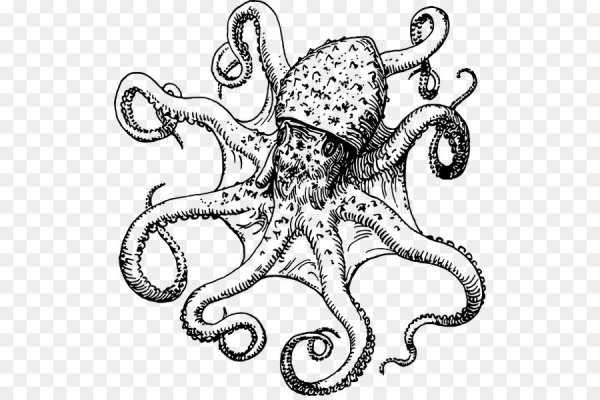 Осьминог контур