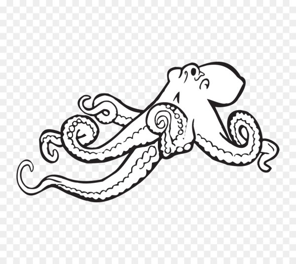 Раскраска осьминог