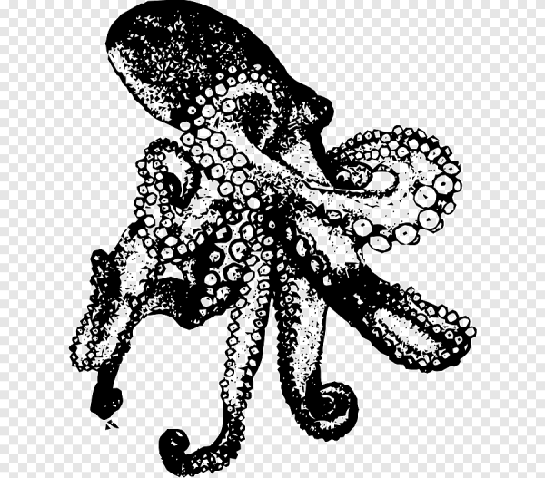 Осьминог черно белый