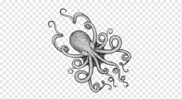 Осьминог серый