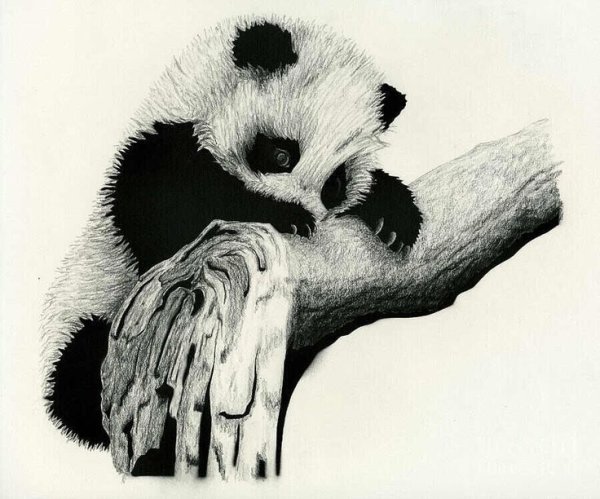 Рисунки тату эскизы