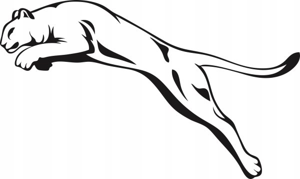 Раскраска черная пантера животное