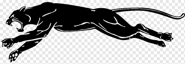 Пантера контур