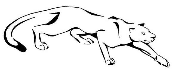 Пума контурное изображение