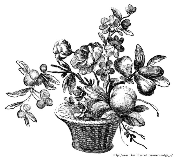 Цветочная композиция Графика