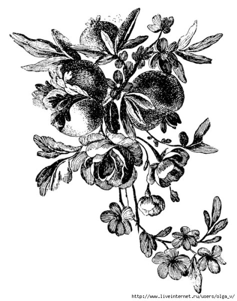 Винтажные цветы черно белые