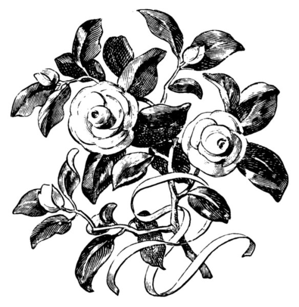 Розы монохром для декупажа