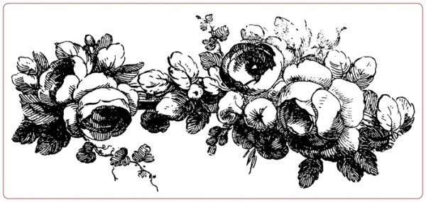 Книжная Графика цветы