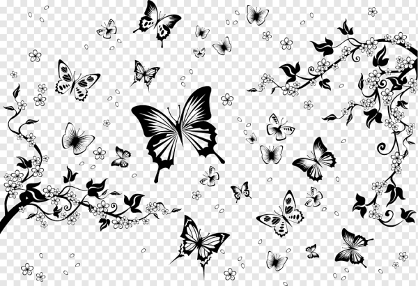 Бабочки фон чб