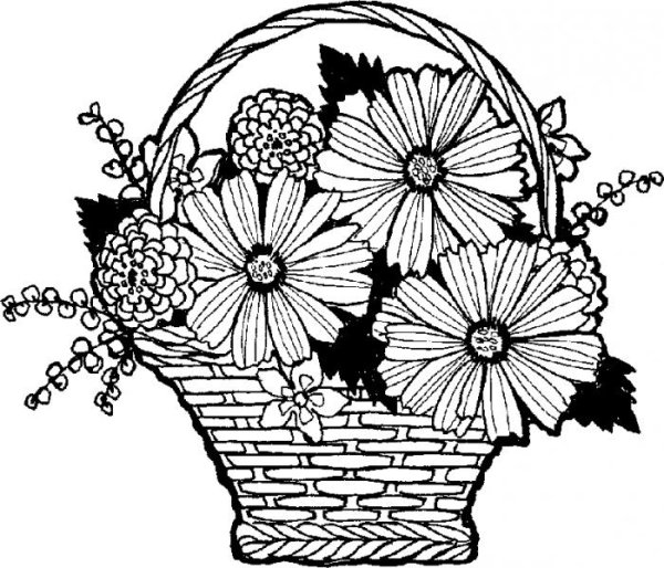 Наброски листва