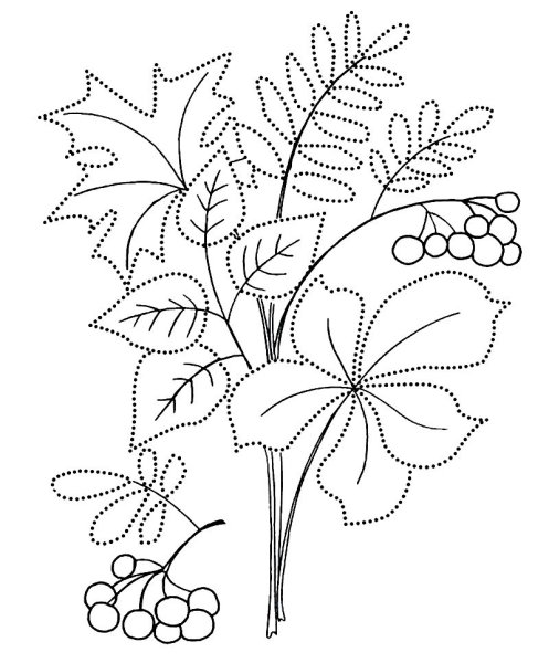 Хризантема Астра бархатцы чб