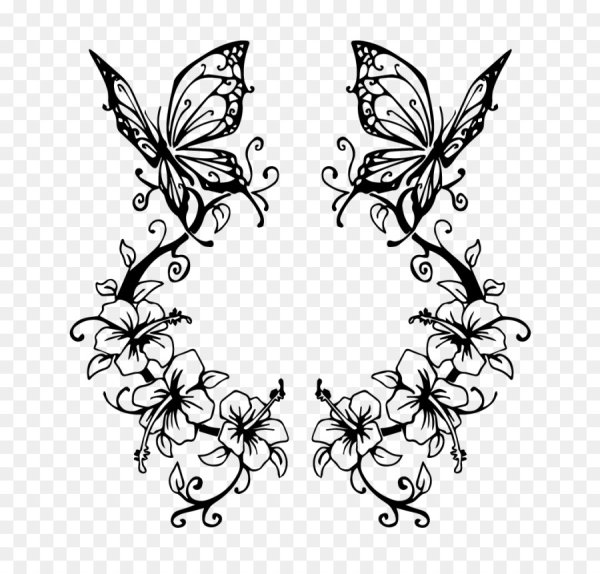 Красивые узоры бабочки