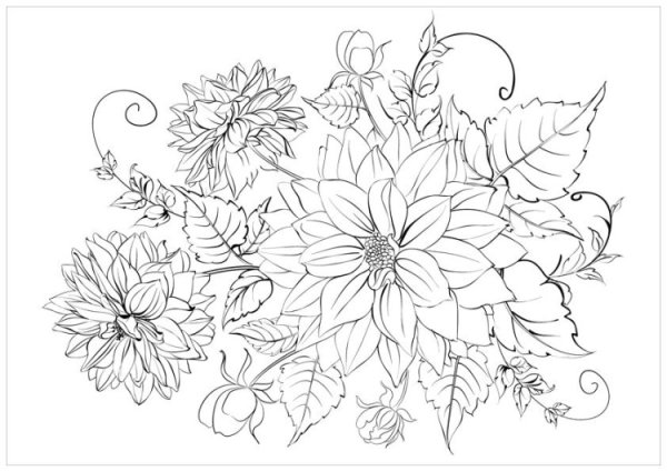 Ветка раскраска