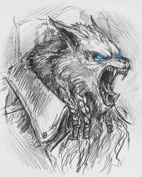 Волколак рисунок