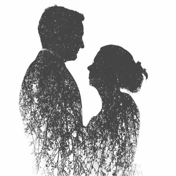 Силуэт пары