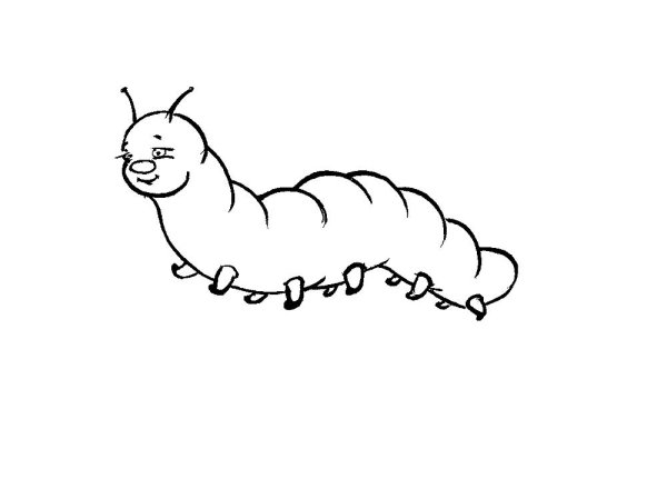 Гусеница листовертка раскраска