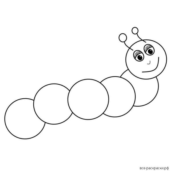 Гусеница листовертка раскраска