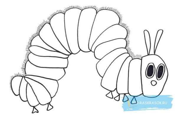 Сороконожка раскраска для детей