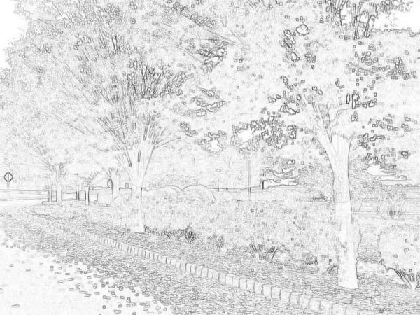 Раскраска осень пейзаж