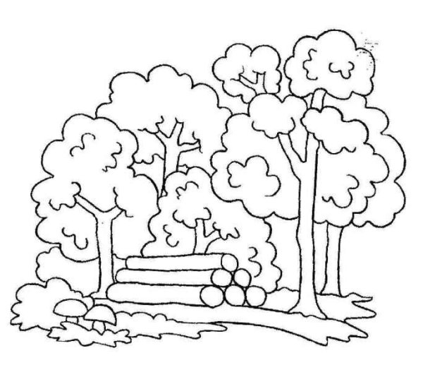 Лес раскраска для детей