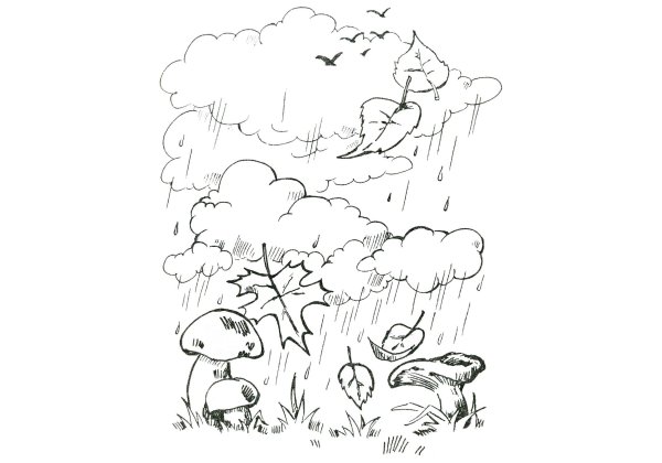 Осенний пейзаж раскраска