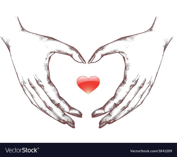 Нарисовать руки в форме сердца