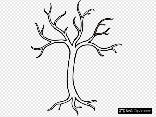 Дерево без листьев с корнями