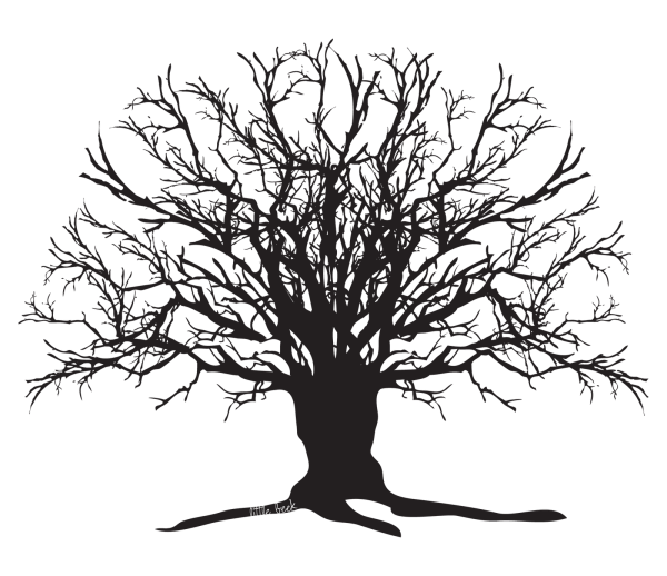 Дерево без листьев