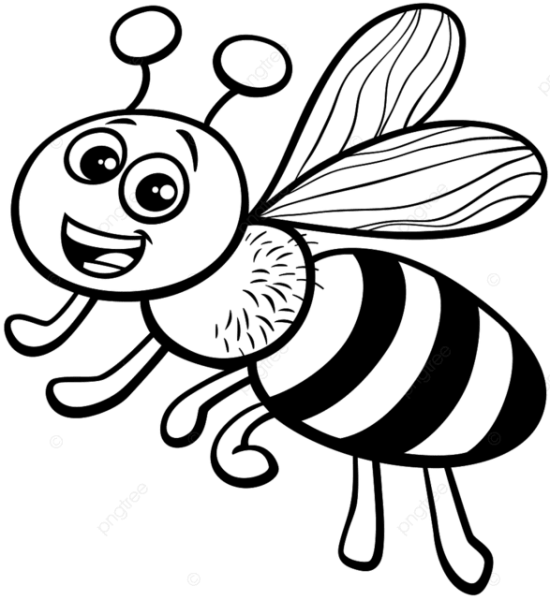 Пчела раскраска для детей на прозрачном фоне