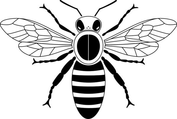Пчела раскраска