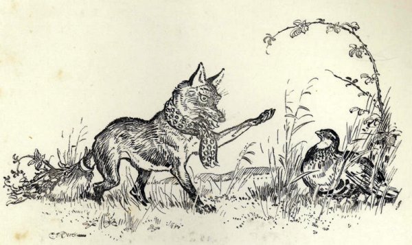 Рисунок лисы 3 класс