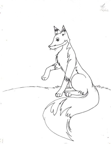 Раскраска по басне Крылова ворона и лисица