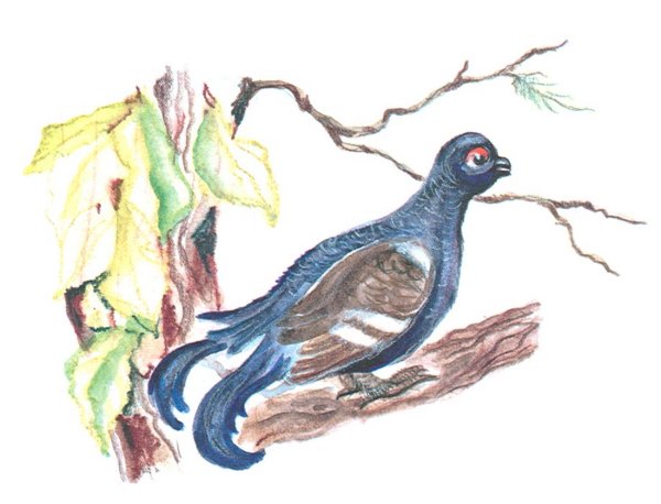 Лиса и журавль лиса с журавлем подружились