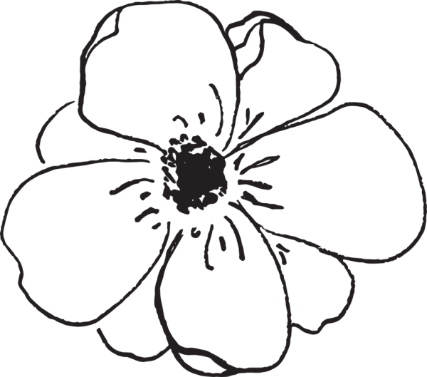 Цветок шаблон