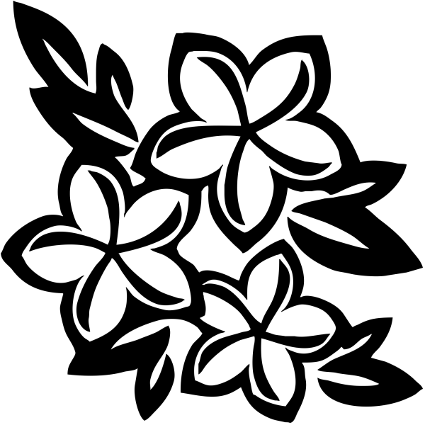 Черно-белый цветок