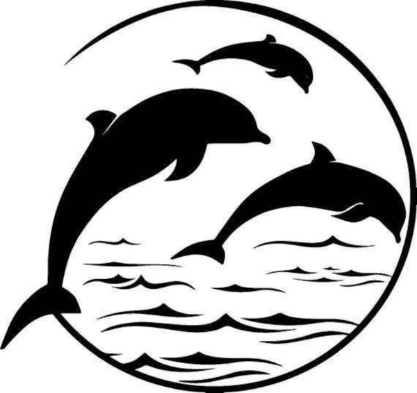 Дельфин вектор чб