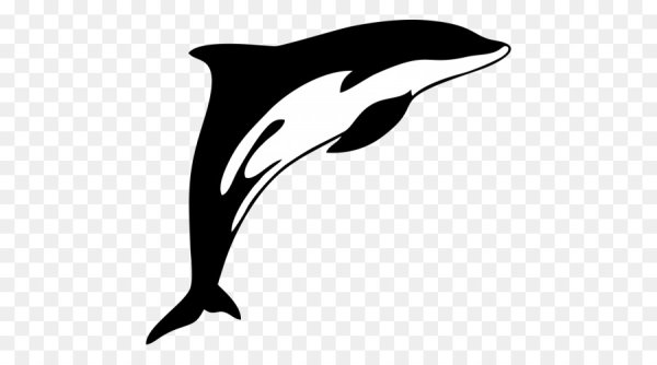 Дельфин трафарет