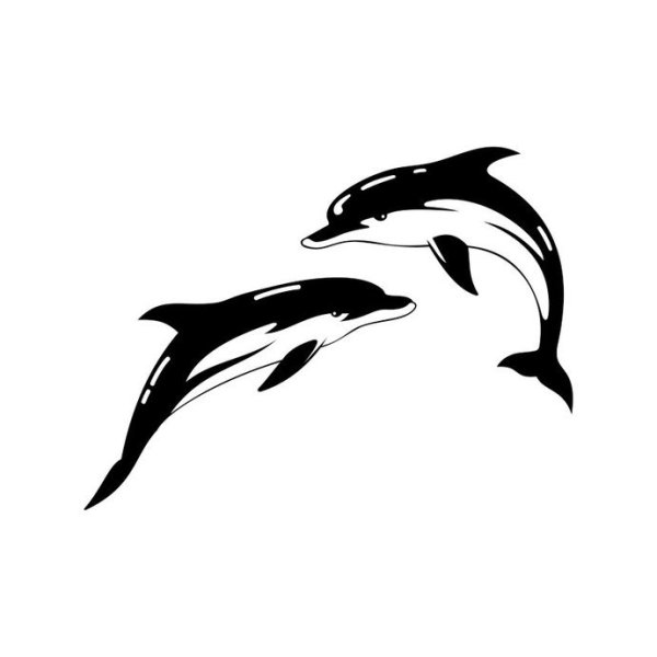 Дельфин эскиз