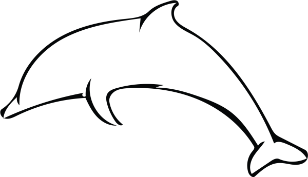 Контур дельфина