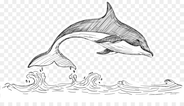 Дельфин Графика