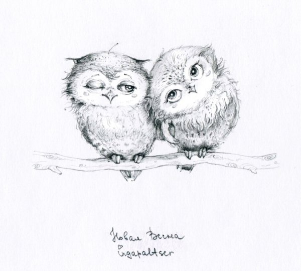 Совушки рисунки карандашом