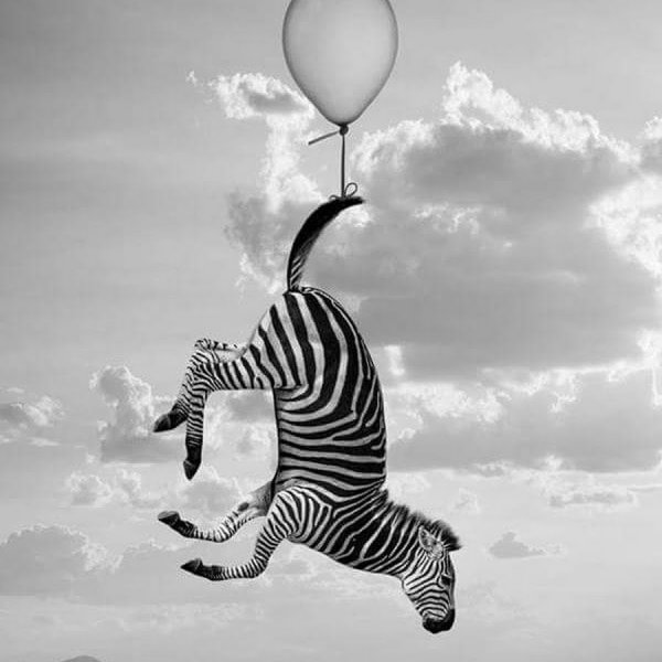 Позитивный сюрреализм