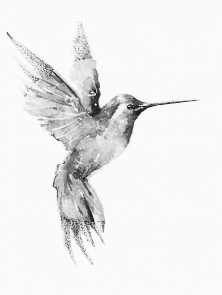 Тату Колибри эскизы