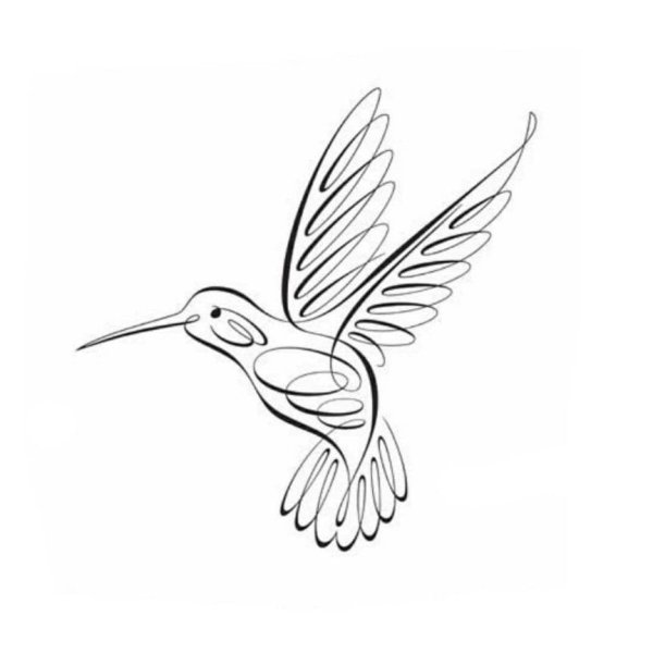 Тату Колибри контур