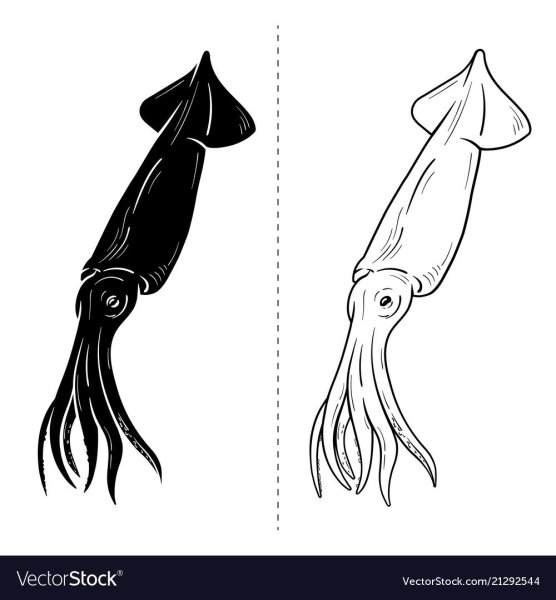 Силуэт кальмара