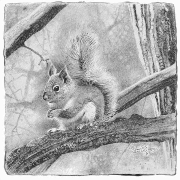 Булка рисунок карандашом