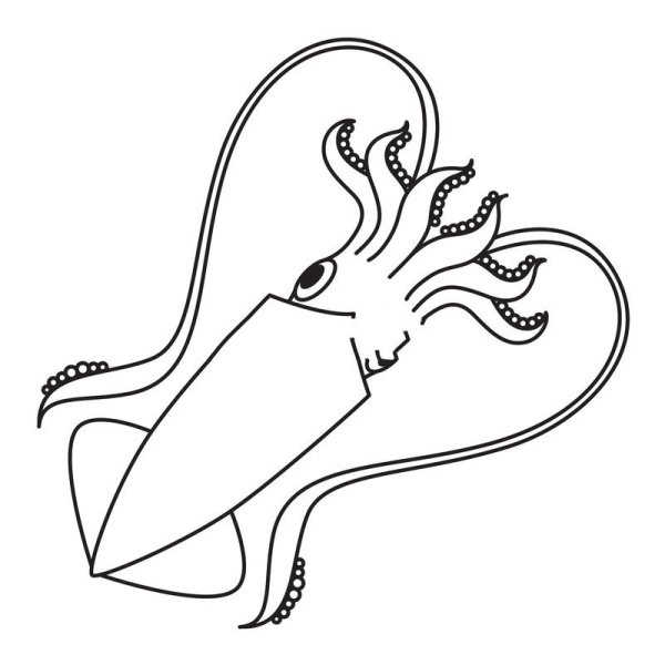 Игра в кальмара черно белые