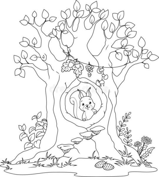 Раскраска Белочка